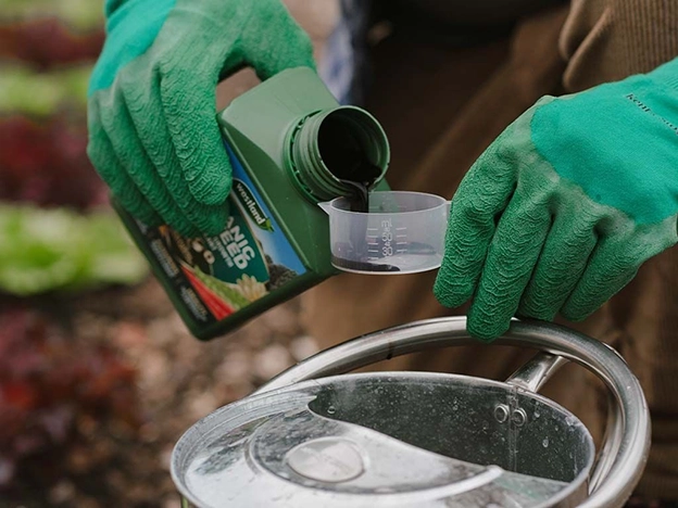 Lawn Feed & Plant Food