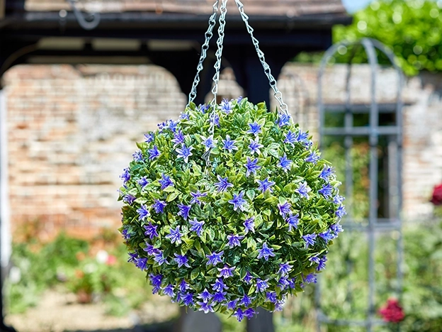 Outdoor Plants