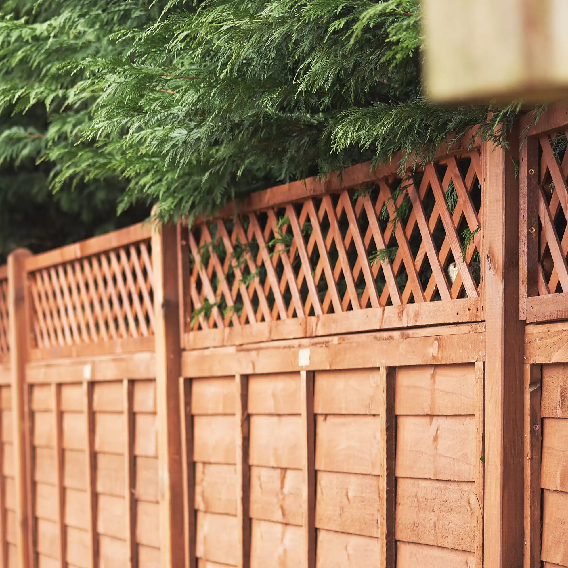 Forest Garden Fence Top Trellis Diamond Lattice - 1830 x 300mm