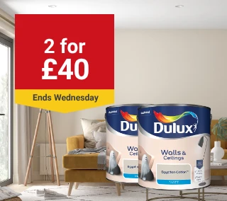 Wednesday-Hero-Desktop-Dulux 2.5L-Show X For-April.webp