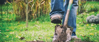 12.Digging_with_shovel.jpeg