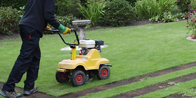 wickes-garden-lay-lawn-turf-5.webp