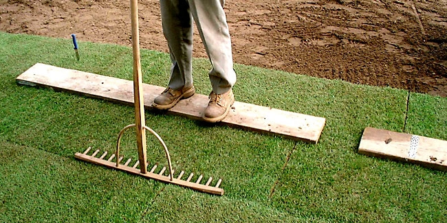 wickes-garden-lay-lawn-turf-15.webp
