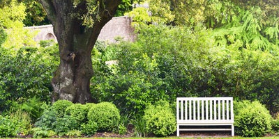 trimming-time-Formal_v_informal_hedges.jpg