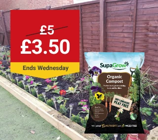Wednesday-Hero-Desktop-SupaGrow-Gardens-WasNow-August.webp