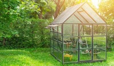 where-to-site-greenhouse.jpg