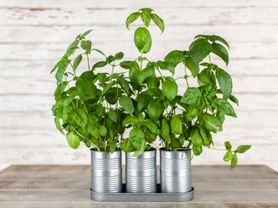 herb_planters.jpg