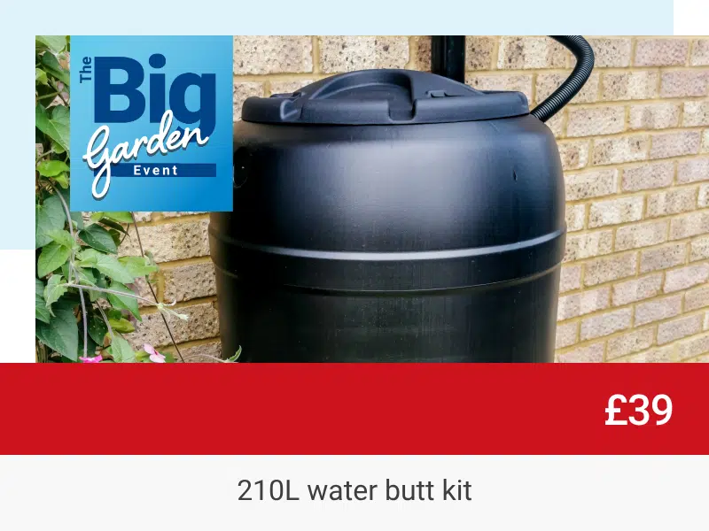 Great offers ST-Water-Butt-September.webp