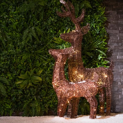 Pair of LED Deer Decorations