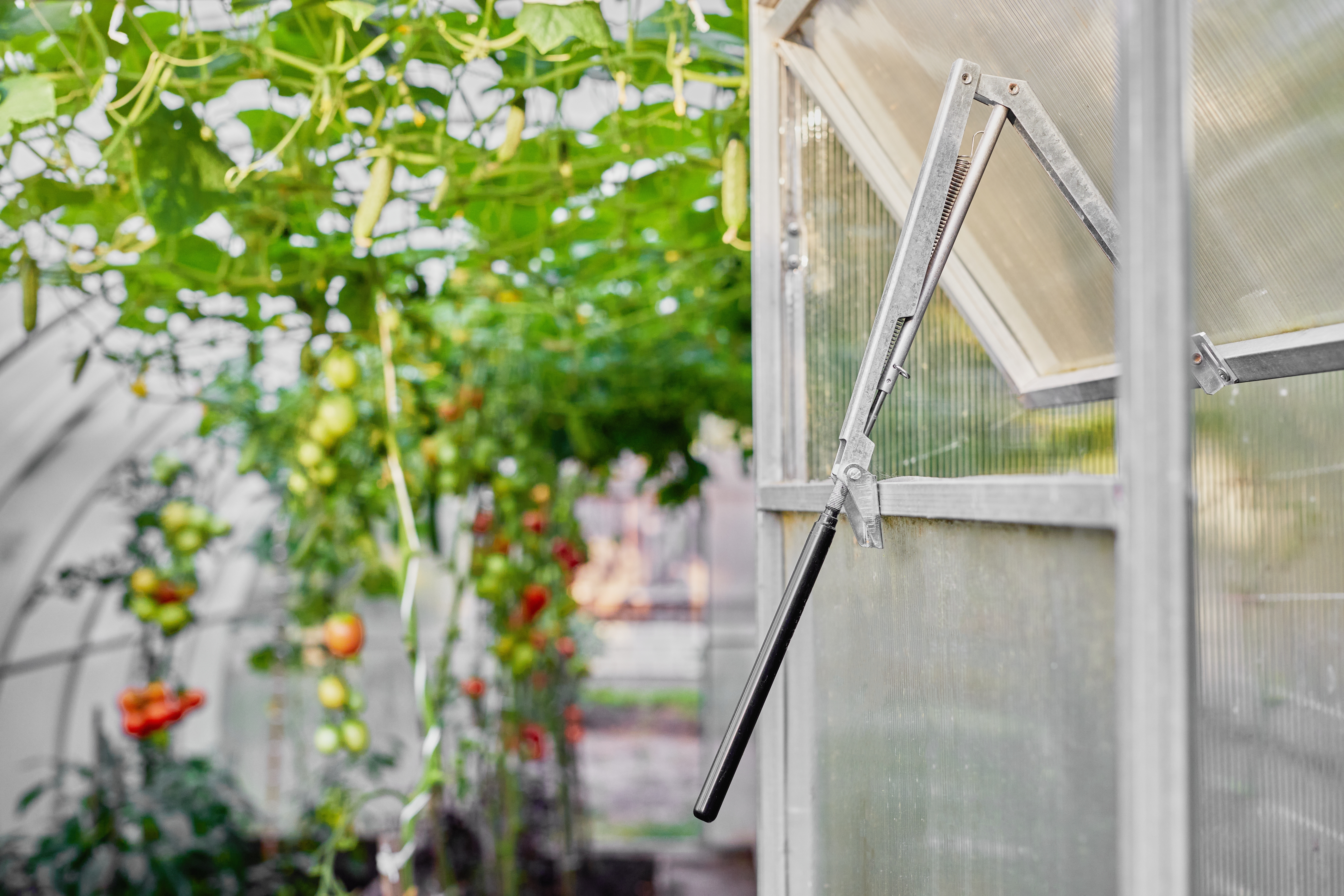 Airing_out_your_greenhouse_Ventilation.jpg