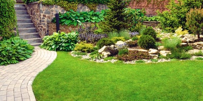 garden_landscaping.jpg