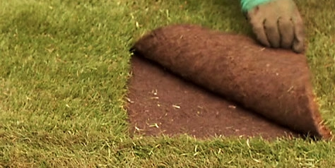 wickes-garden-lay-lawn-turf-13.webp