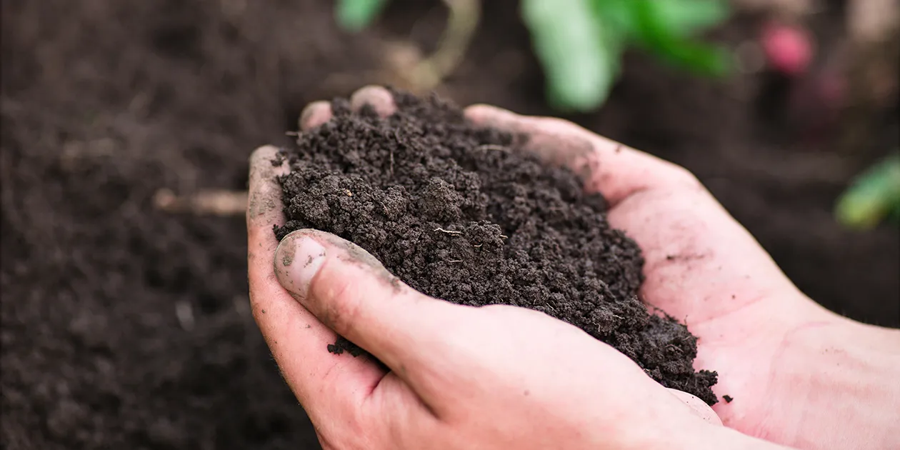 soil-improvers.jpg