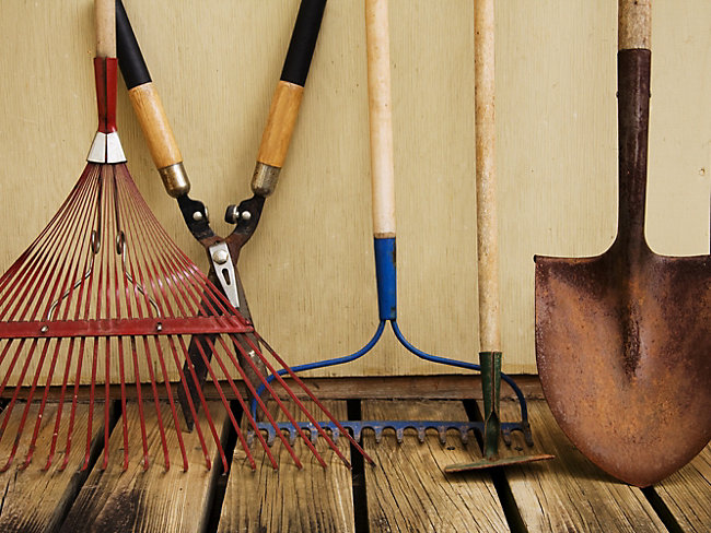 How to maintain your garden tools