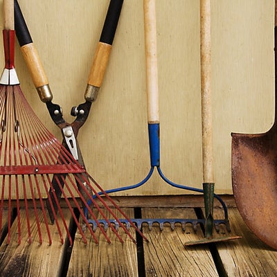 How to maintain your garden tools