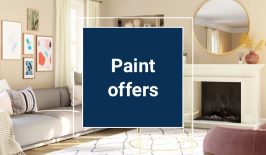 Paint-Latest-Offers.webp