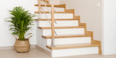 AdobeStock_358733210.jpeg