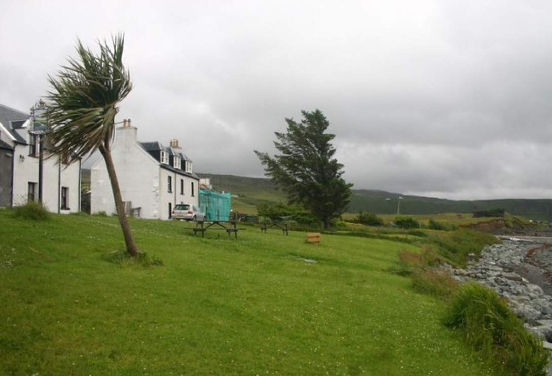 wind blowing trees.jpg