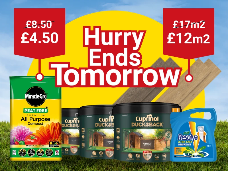 2220x600-EndsTomorrow-May-5-Day-Deal.webp