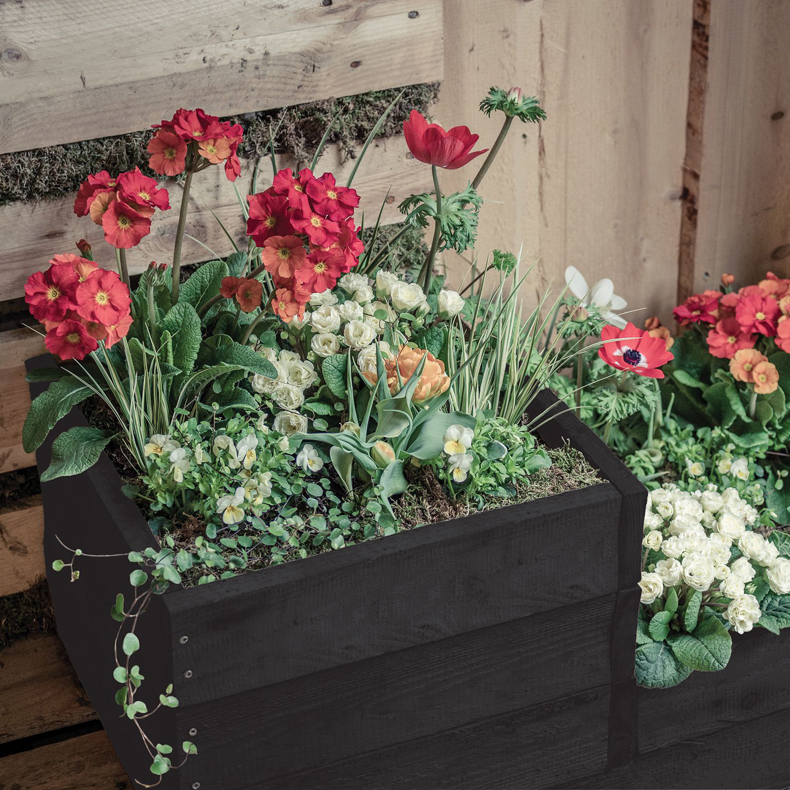 Wickes Garden Colour Matt Wood Treatment - Blackbird - 2.5L