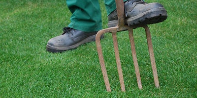 19.Maintaining-your-lawn.jpeg