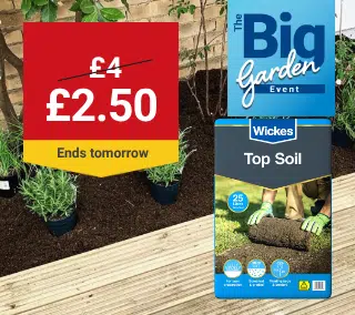 tomorrow-Hero-Desktop-Top-Soil-Garden-WasNow-September.png