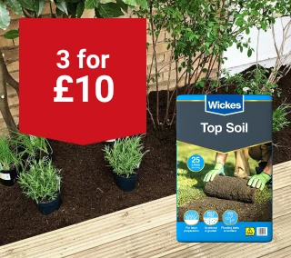 Hero-Desktop--Top-Soil-Show X For-March.webp