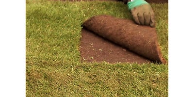 9.How_to_lay_turf.jpeg