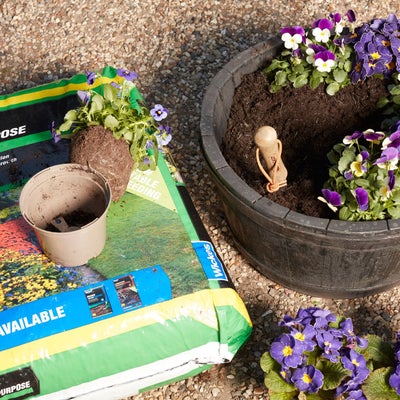 Compost_and_plantpots_desktop.jpeg