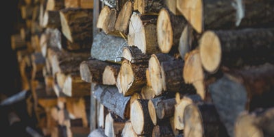 220719-SummerContent2-SummerWildlife-LogPile.jpg