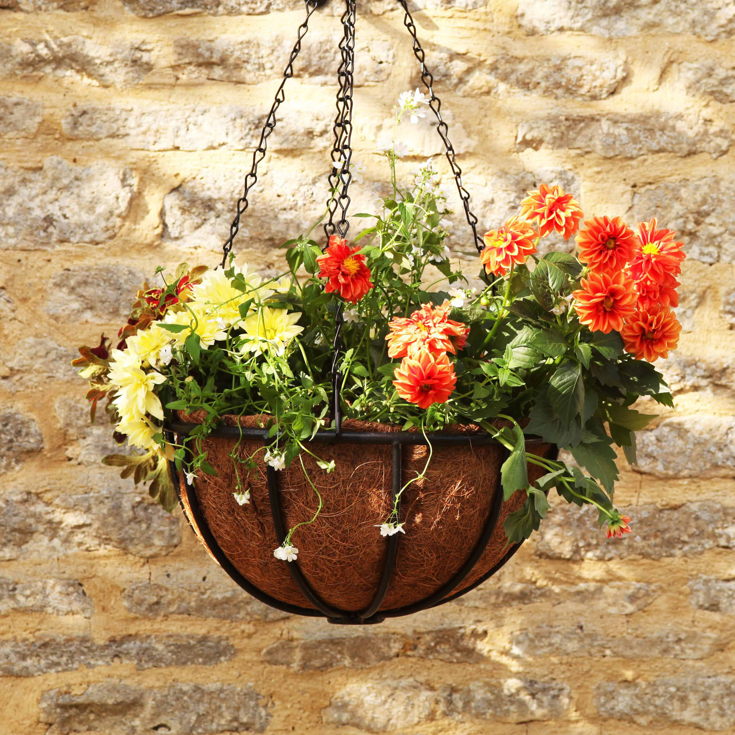 hanging-baskets-how-to.jpeg