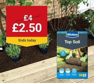 -Hero-Desktop-Top-Soil-WasNow-May_2.webp