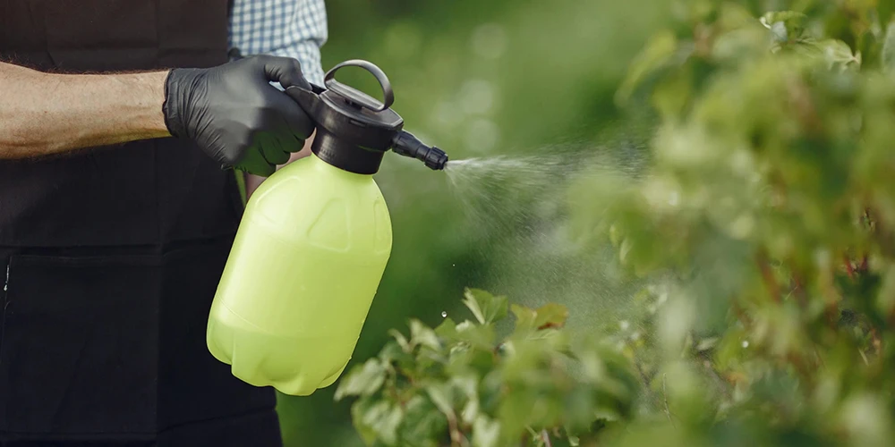 Pesticides & herbicides: all you need to know