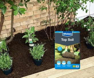 Savers-Desktop-Top-Soil.webp