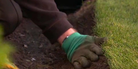 wickes-garden-lay-lawn-turf-17.webp