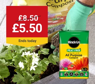 today-Hero-Desktop-Miracle-Gro-Gardens-WasNow-July.webp