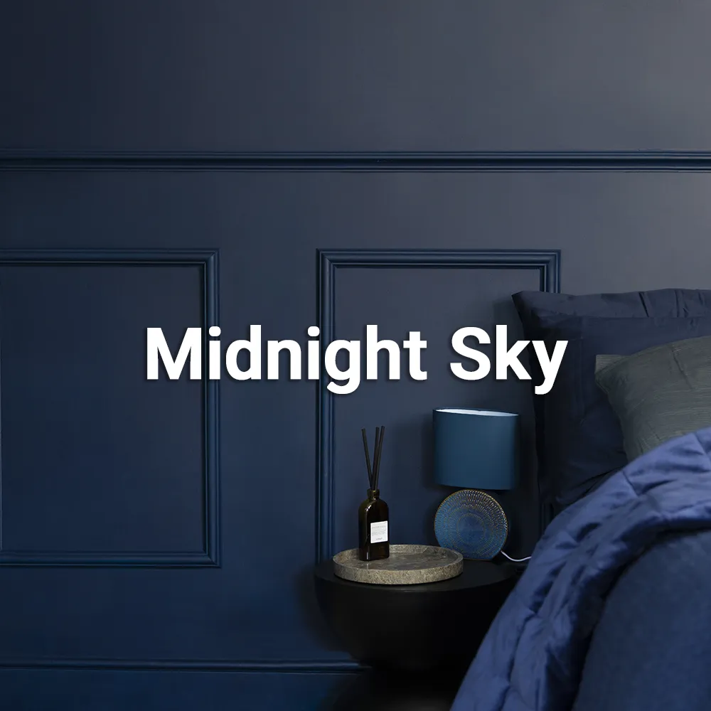 Ronseal-One-Coat-Midnight-Sky.webp