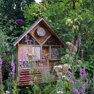 Benefits of an insect hotel