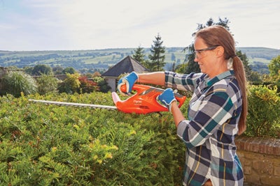 Flymo-hedge-trimmers.jpg