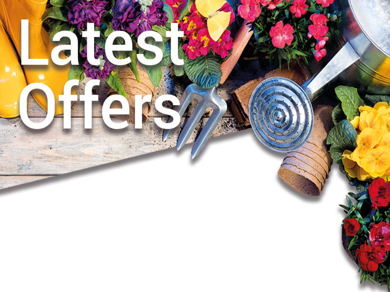 6120-Latest-Offers-Spring-Banner-FullWidth.png