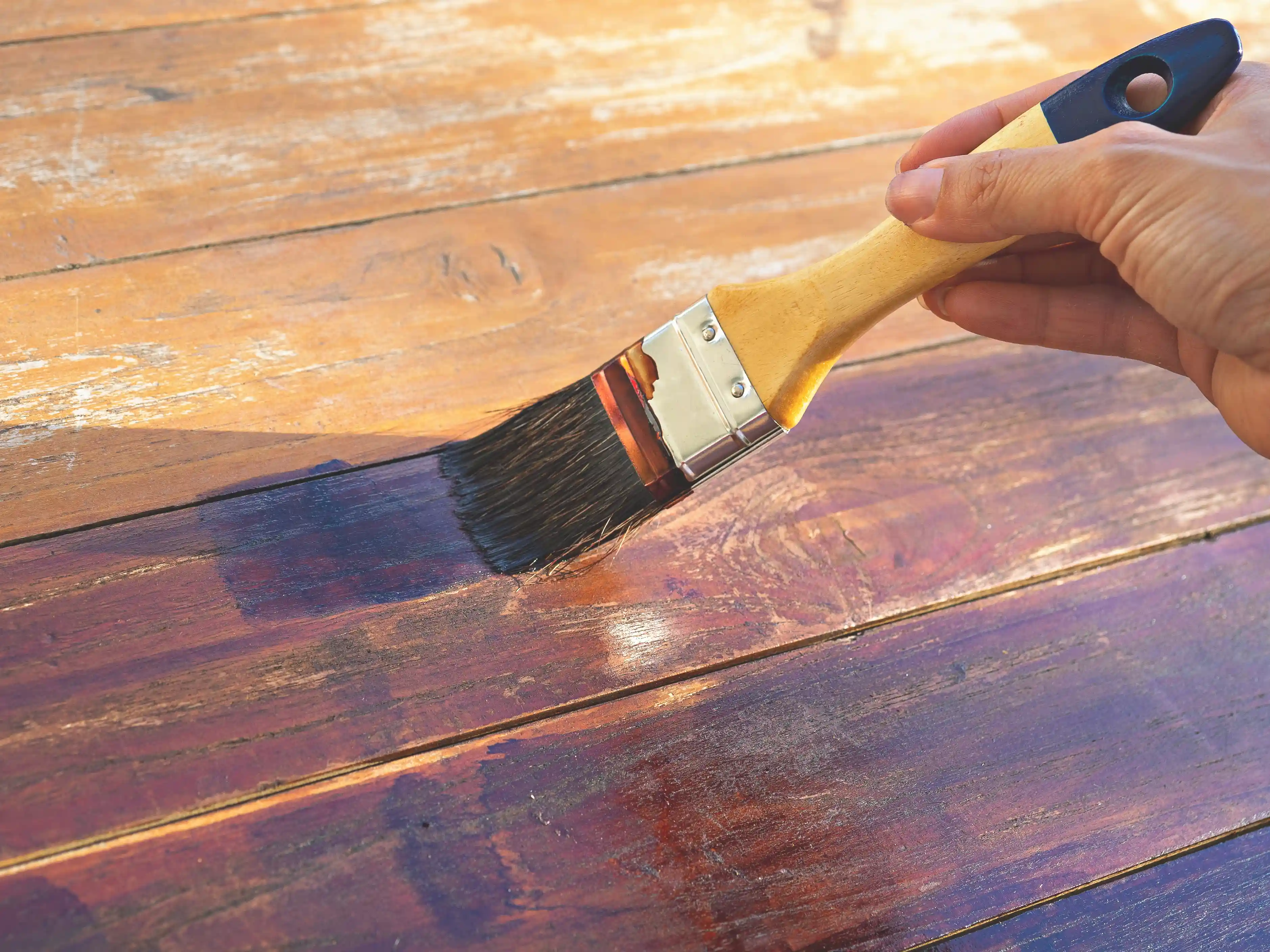 wickes-garden-caring-for-fencing-5.webp
