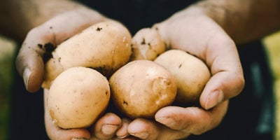 220719-SummerContent2-SummerPlanting-Potatoes.jpg