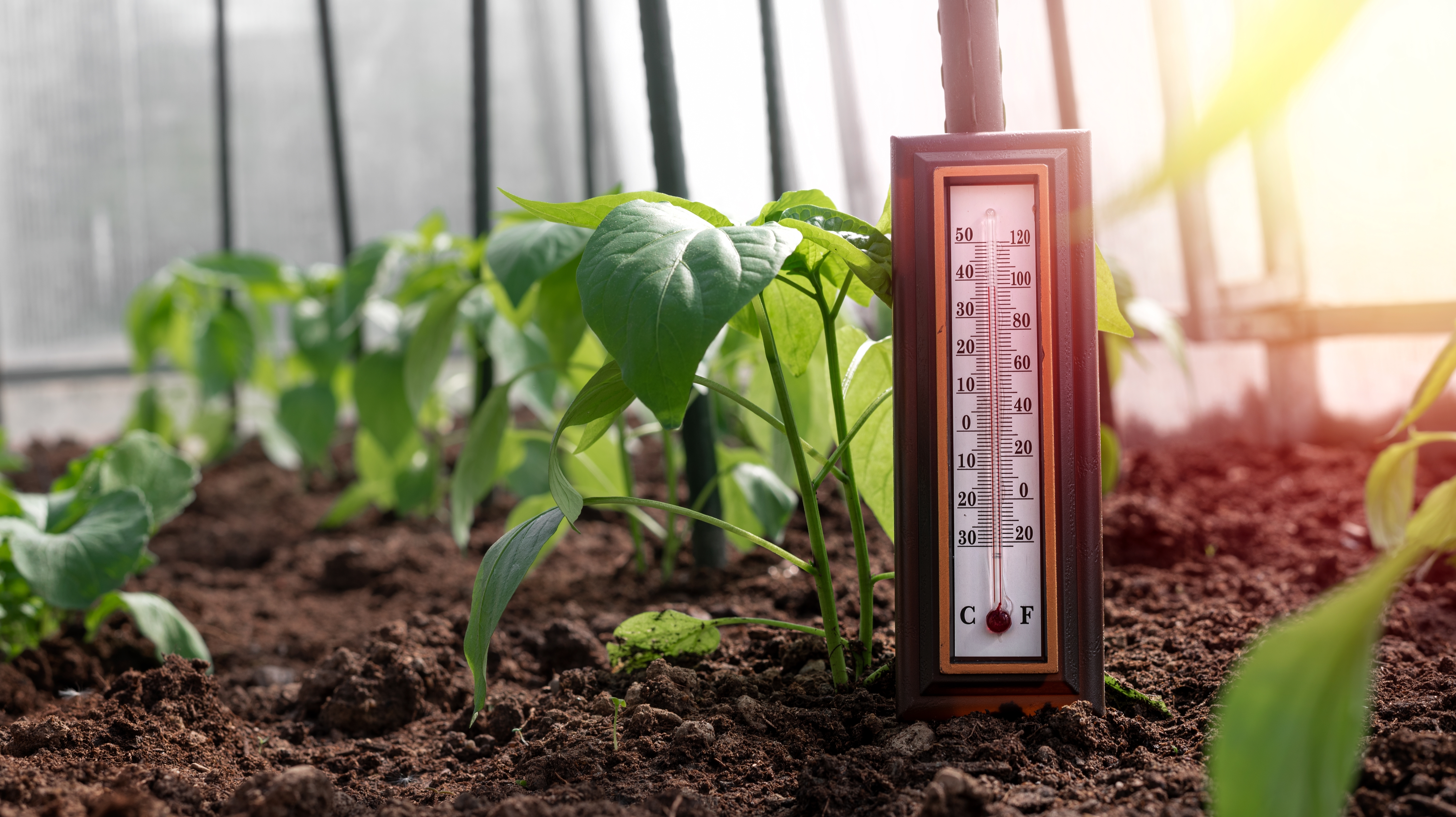Airing_out_your_greenhouse_Temperature_control.jpg