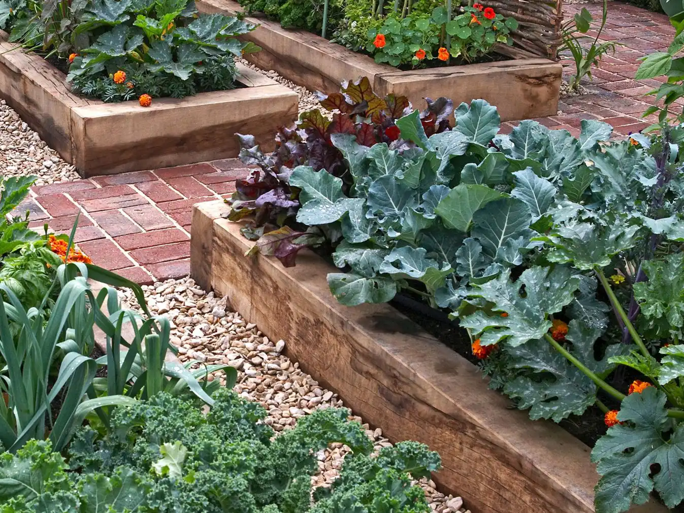 wickes-gardens-big-impact-small-garden-19.webp