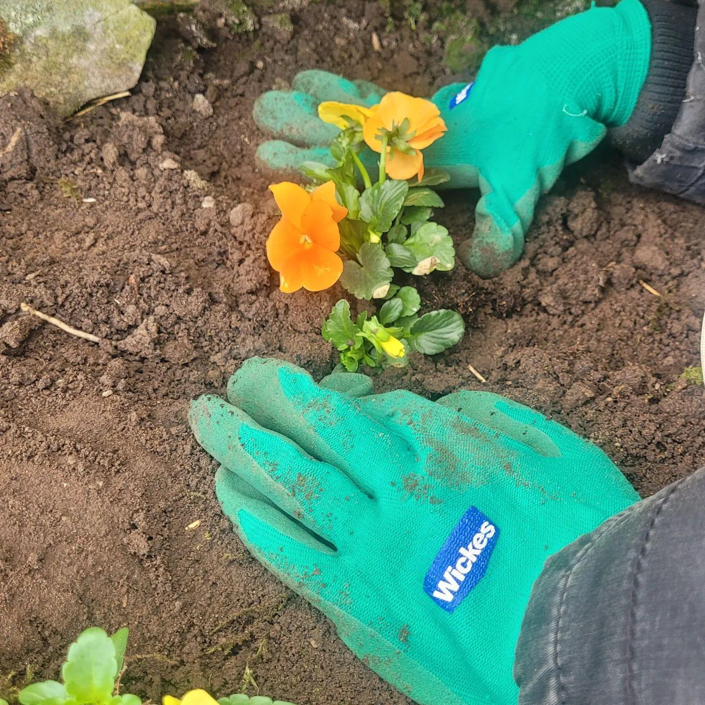 Wickes Gardening Gloves - Medium