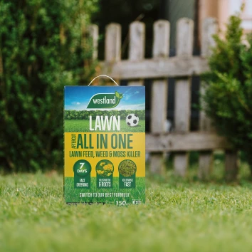 Lawn Care & Maintenance