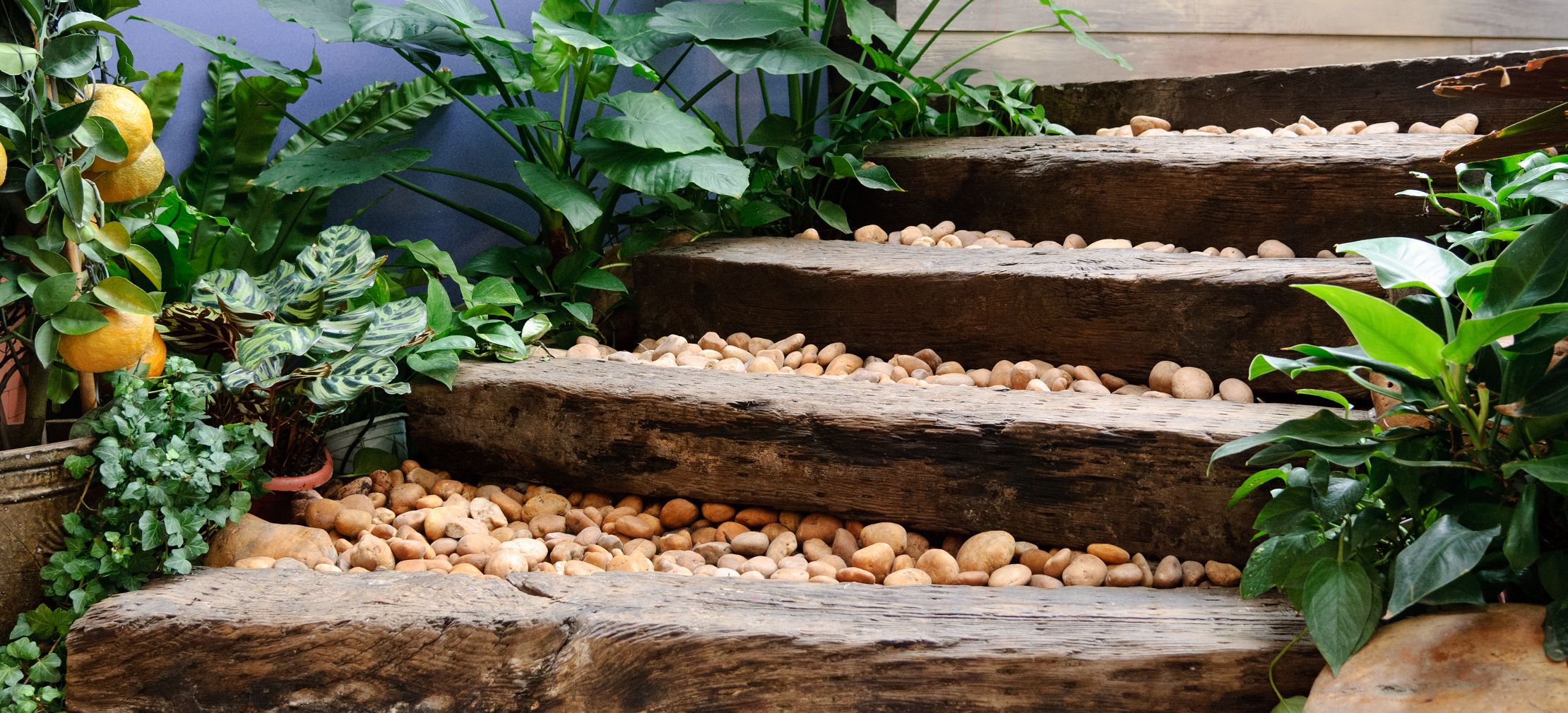 garden-steps-wooden-repeat.jpeg