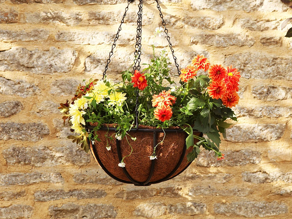 hanging-baskets-ia.jpeg