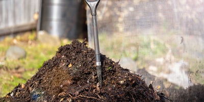 Grow_your_own_-_making_compostTypes_of_compost.jpg