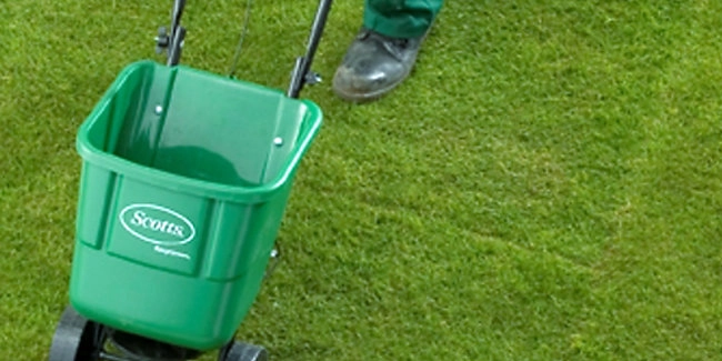 wickes-garden-lay-lawn-turf-21.webp